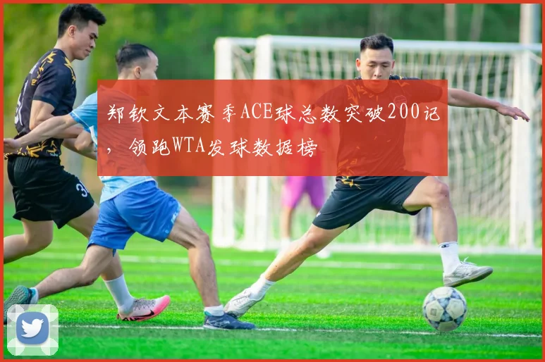 郑钦文本赛季ACE球总数突破200记，领跑WTA发球数据榜